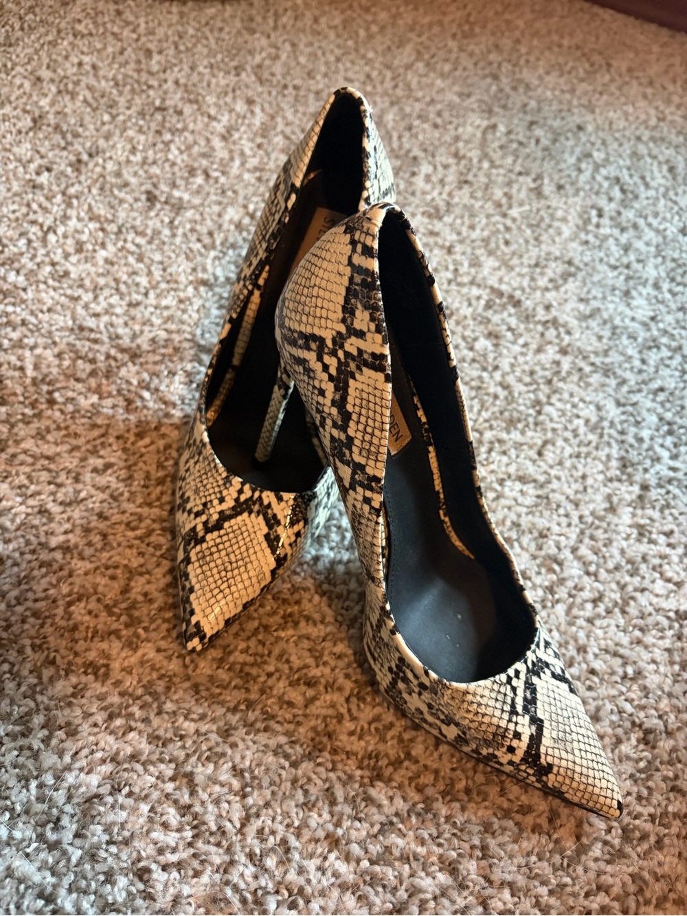 Steve Madden Snake-Print Pointed Toe Stiletto Heels in Black & Cream